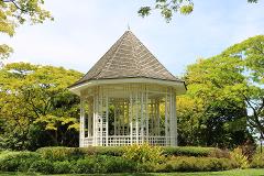 UNESCO Singapore Botanic Gardens Corporate Walking Tour