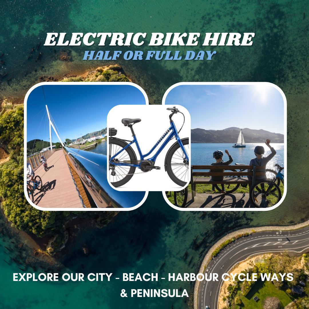 Electric Bike Hire Dunedin Bike Hire Ltd eBike Hire Dunedin