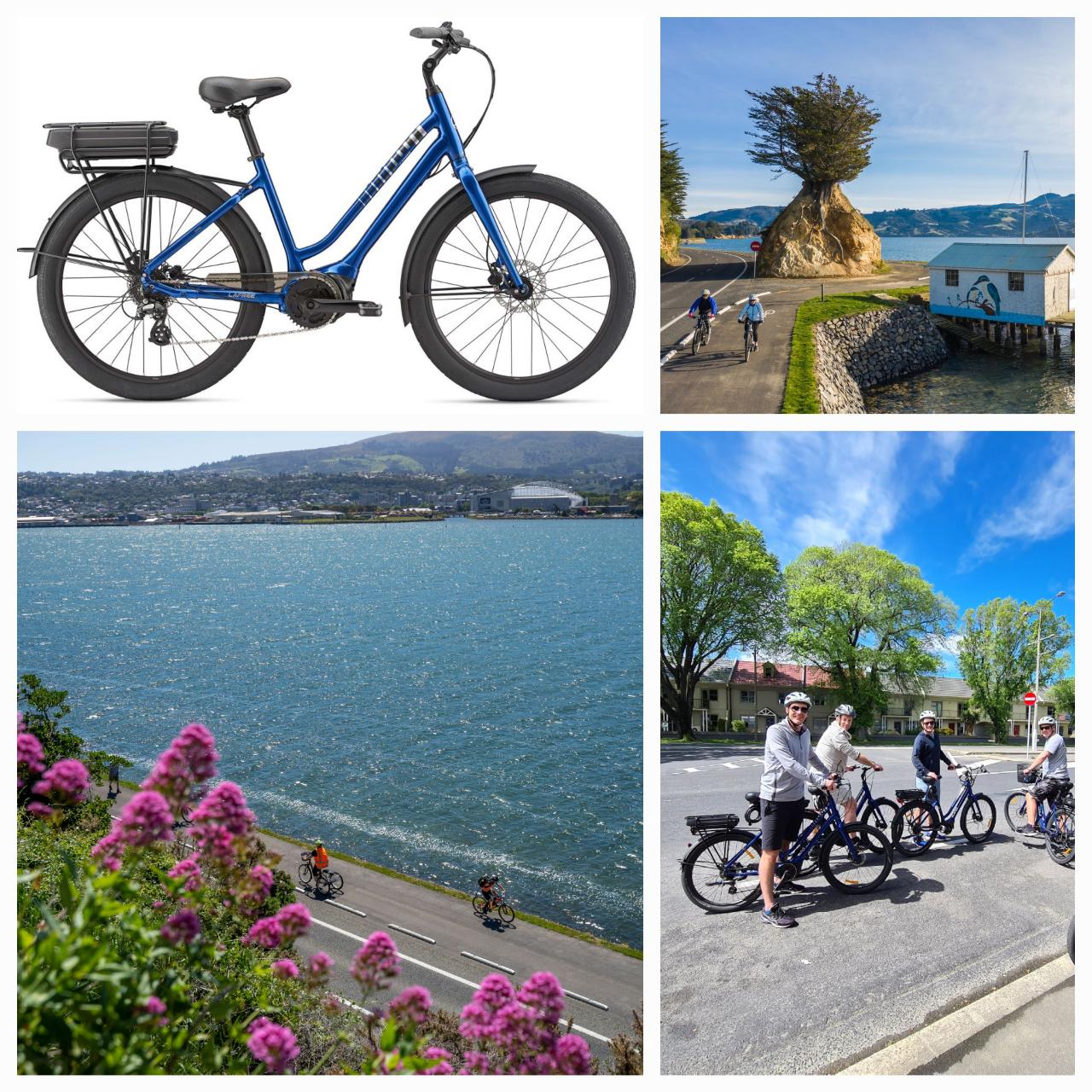 Electric Bike Hire Dunedin Bike Hire Ltd eBike Hire Dunedin
