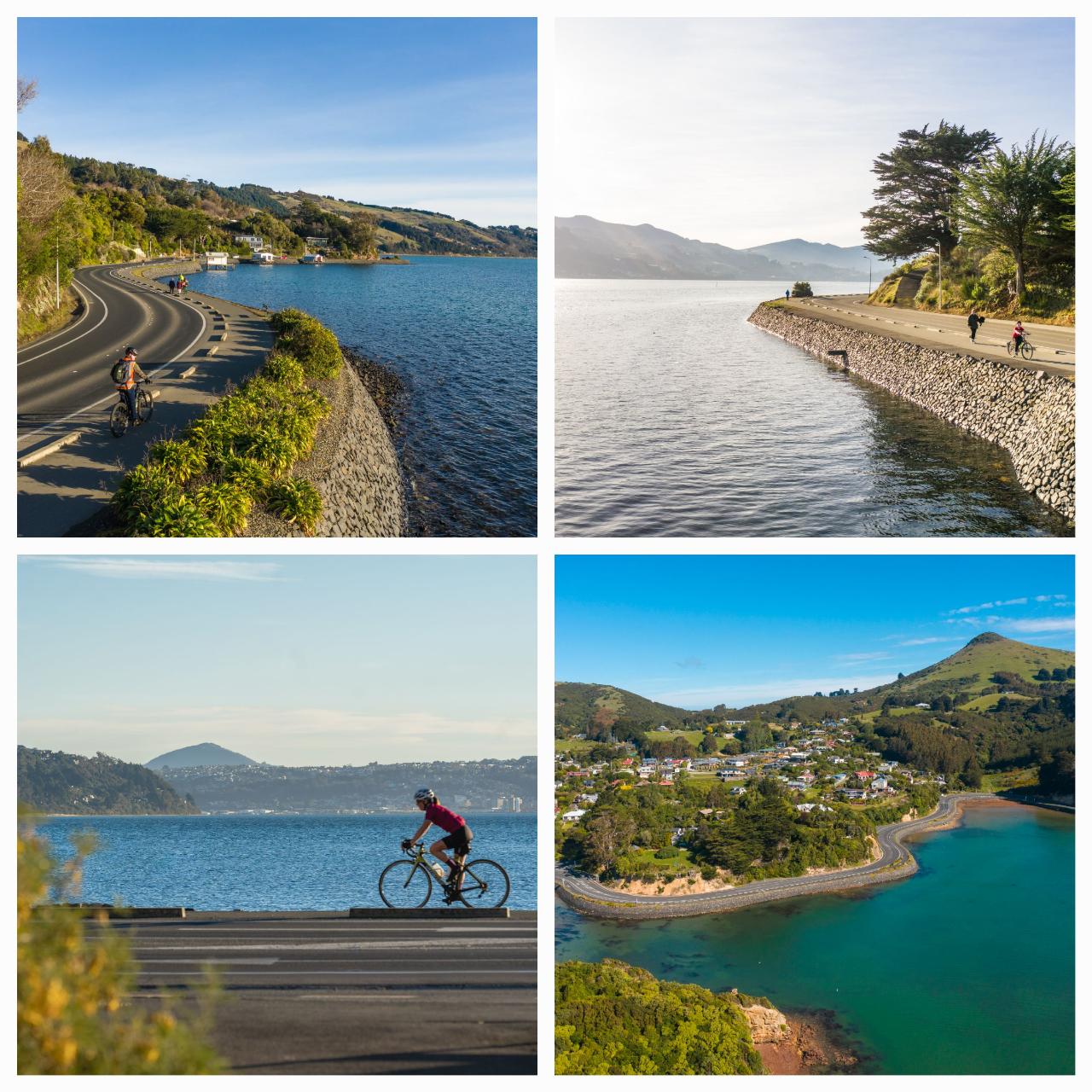 Electric Bike Hire Dunedin Bike Hire Ltd eBike Hire Dunedin