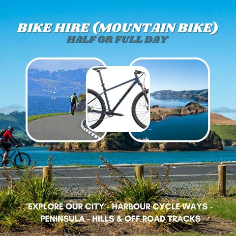 Bike Hire (Non-Electric/Mountain) - Single Day