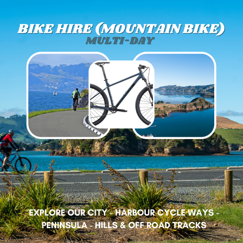 Bike Hire (Non-Electric/Mountain) - Multi Day
