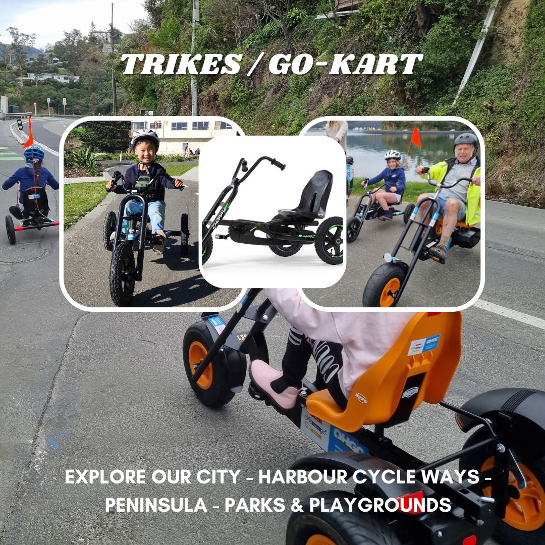 Trike 2024 go kart