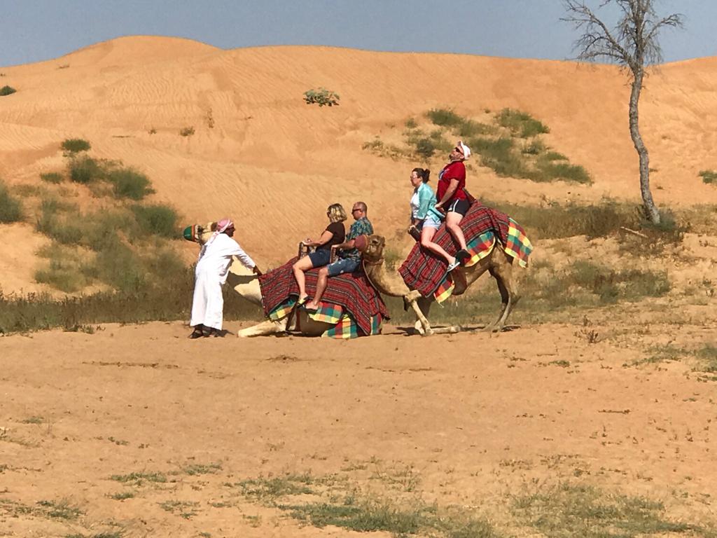 One Hour Camel Trekking Tour