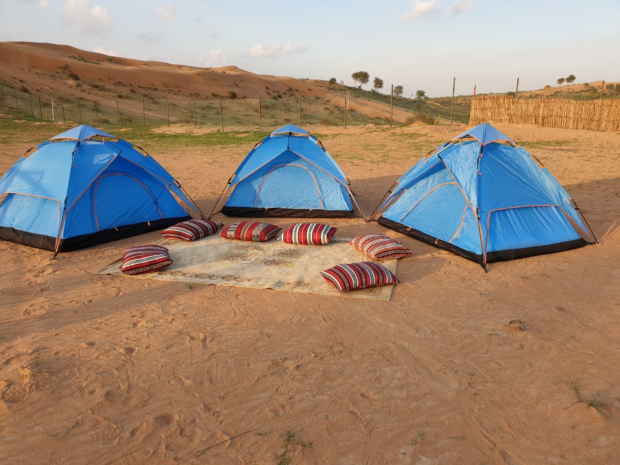 Overnight Desert Camping in Igloo Tent with Sharing Toilet