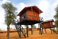 Overnight Desert Camping in Elevated Tree House with AC, Private Toilet & Common Shower