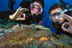 3 Days Diani Dive Trip (6 Dives)