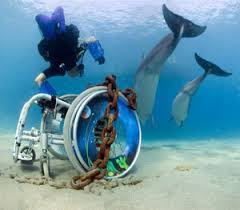 Disabled Divers International (DDI) Instructor Course