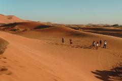 Road To Oasis Festival – Morocco, North Africa (Aug 28 - Sept 14)