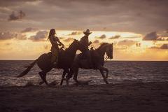 Beach Horseback Riding (Long)