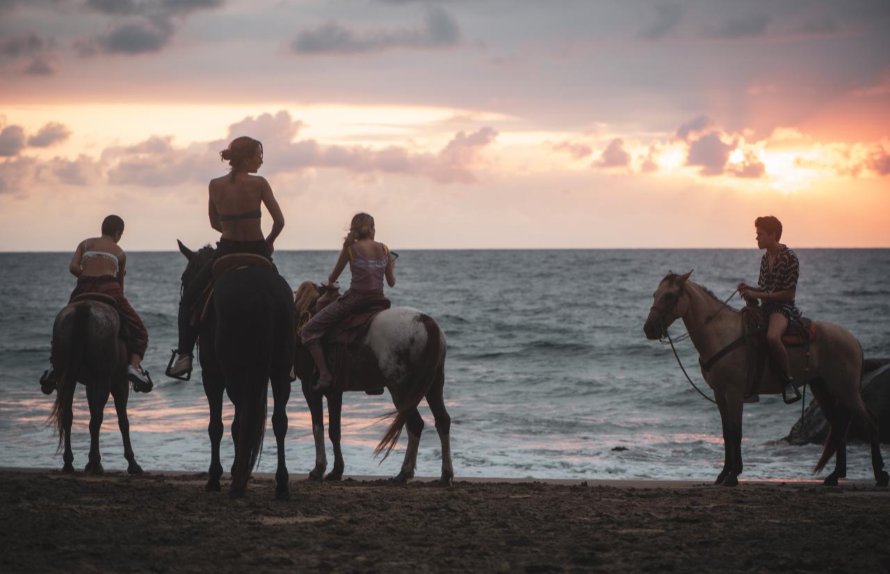 Beach Horseback Riding (Sunset RMC) - Selina Sayulita Reservations