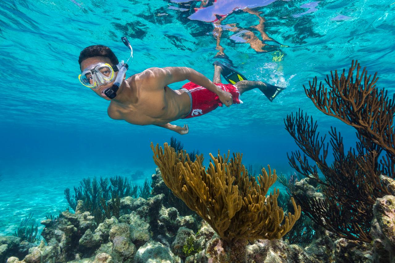 Coral Reef Snorkel - East End