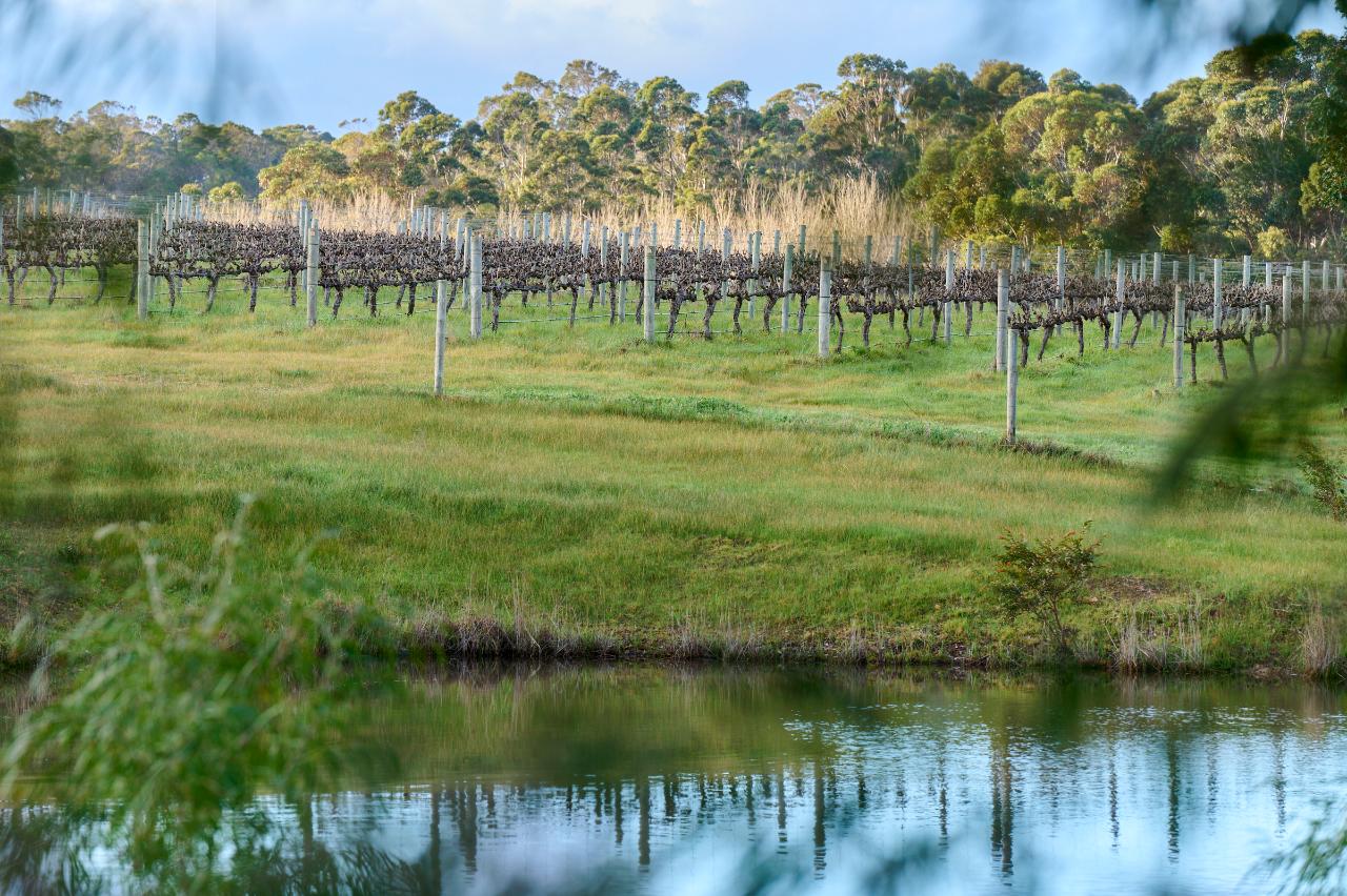 Vertical Celebration of our Shiraz and Syrah