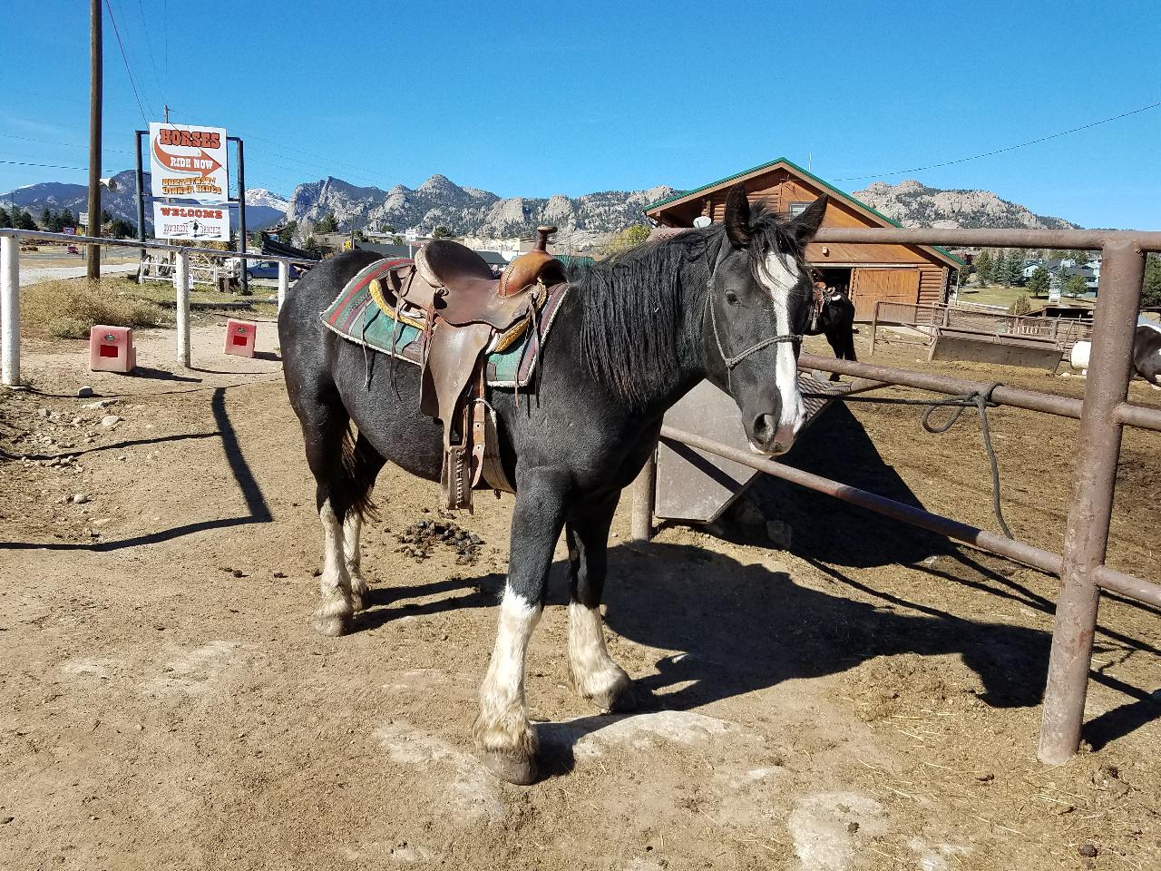 Estes 1 Hour Ride - Sombrero Stables Reservations