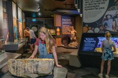 Self-guided Riversleigh Fossil Discovery Centre Tour