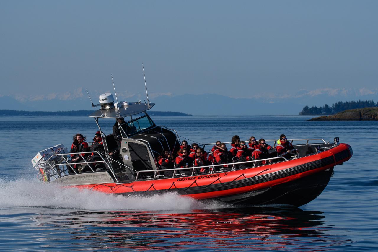 Western Explorer II 5 - 5.5 Hour EXTENDED LONG RANGE TOUR