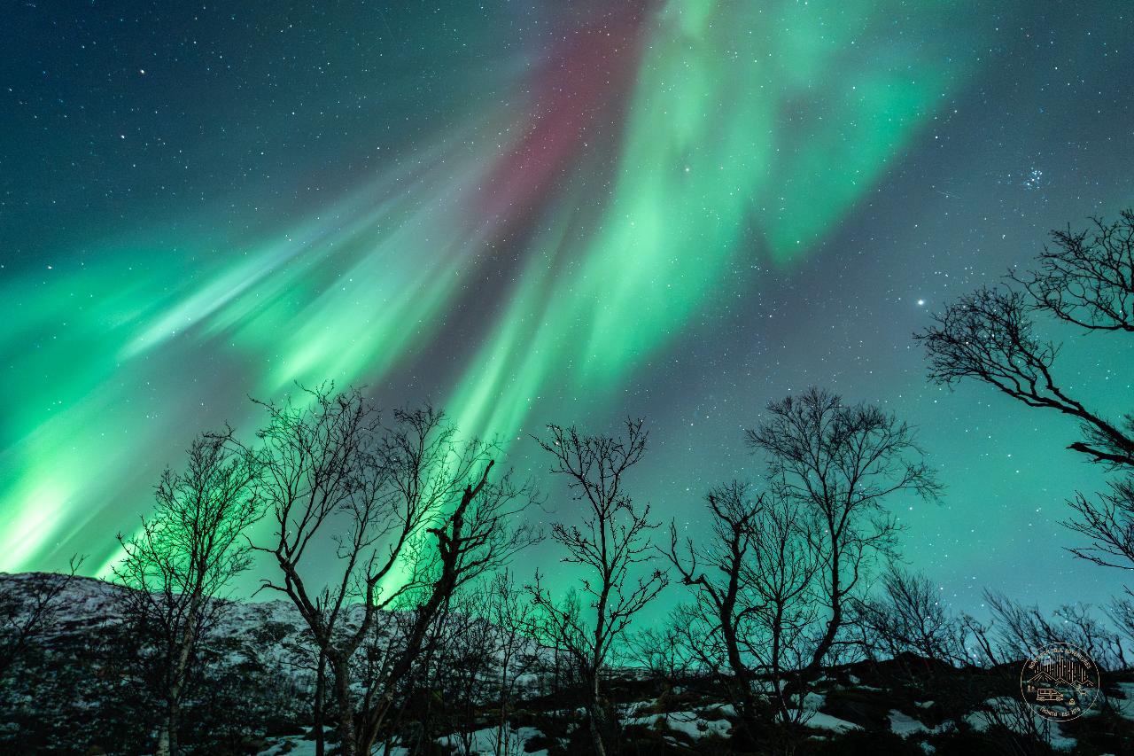 "a journey in search of the Northern Lights" Ⓥ | Photography | 4x4 Van