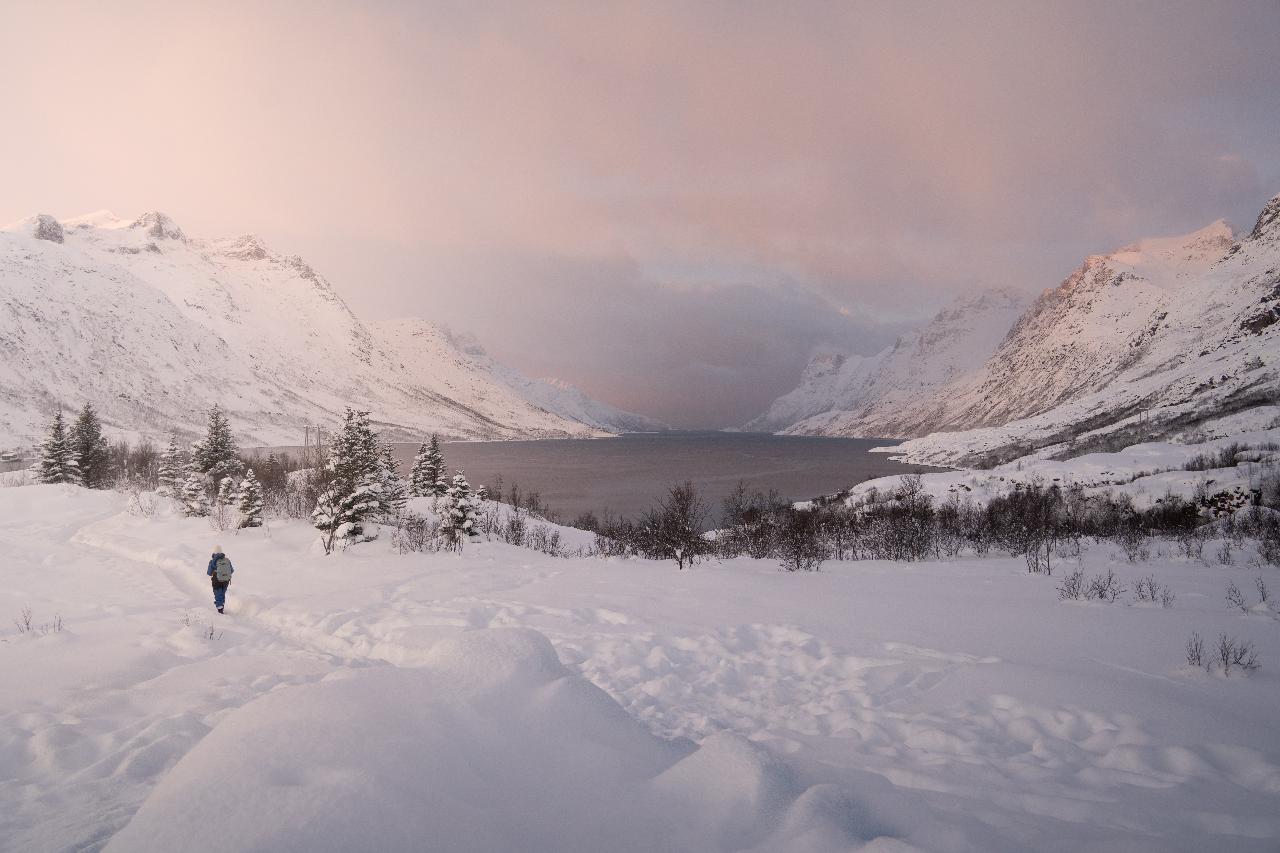 Arctic Roadtrip with scenic picnic Ⓥ | Sightseeing