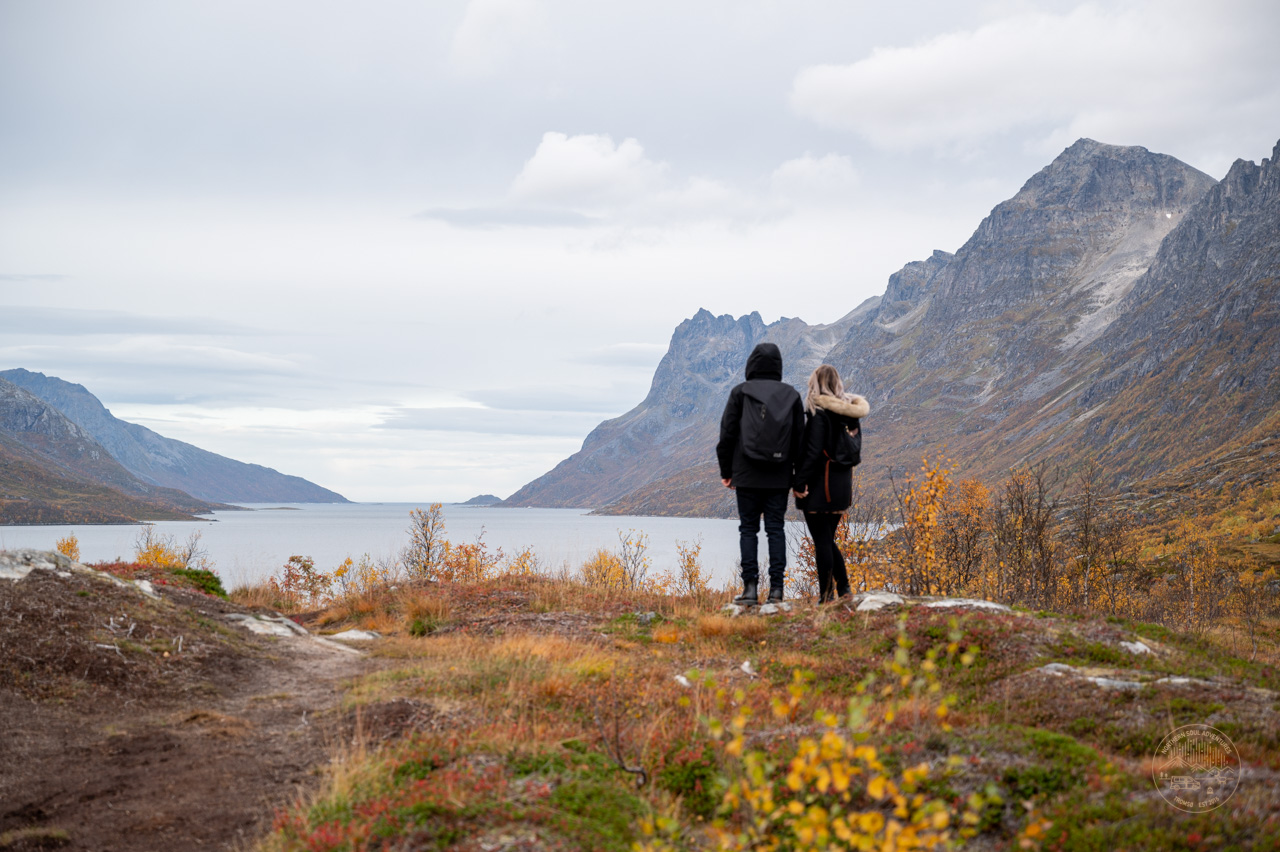 Arctic Roadtrip with scenic picnic Ⓥ | Sightseeing