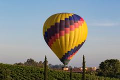  Temecula Wine Country 7 Hrs Sightseeing Day Trip From Orange County.