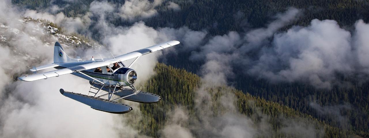 Misty Fjords Flightseeing