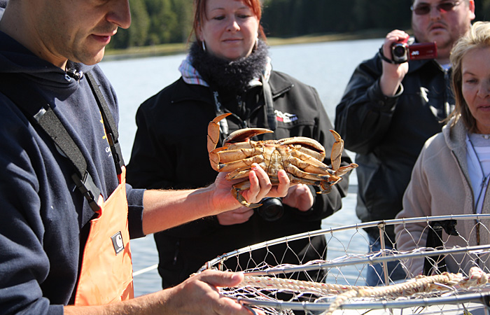 Misty Fjords and Crab Feast Tour