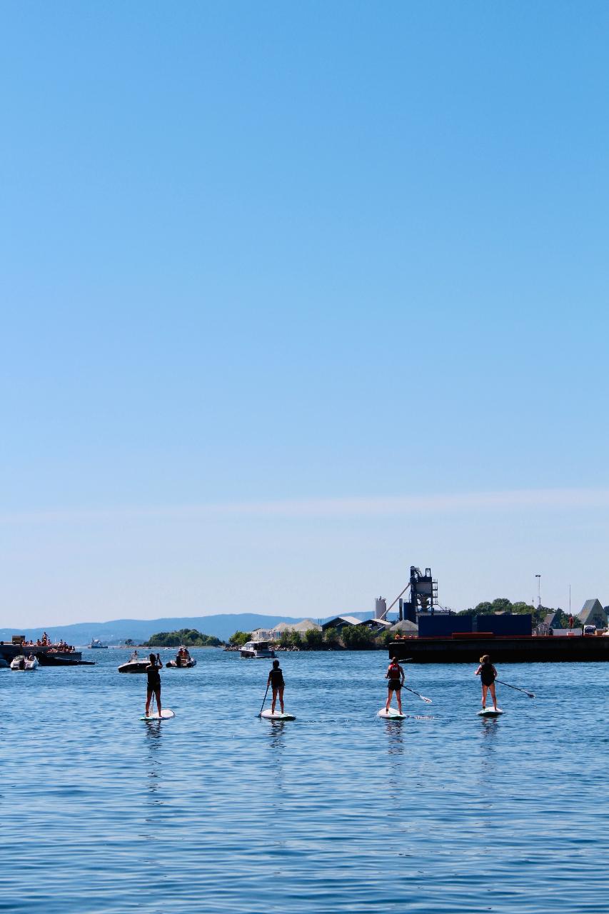 Guided SUP Fjord Tour