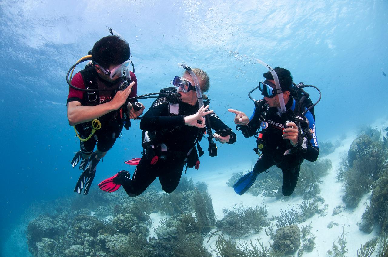 PADI Open Water Diver Course - Gold Coast - 3days