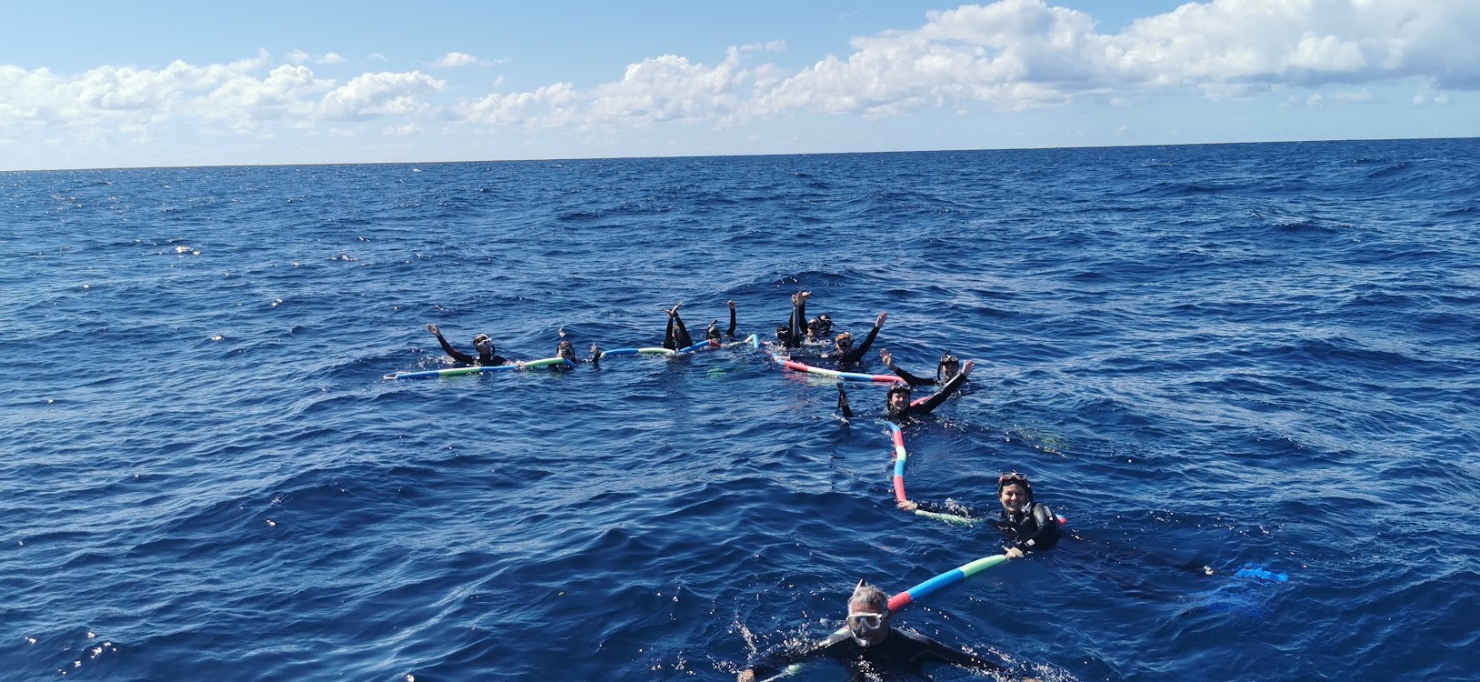 Swim With Whales, Gold Coast - 3 Hour Cruise