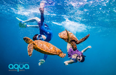 Swim with Turtles, Cook Island Snorkelling Tour (Min 6 people)