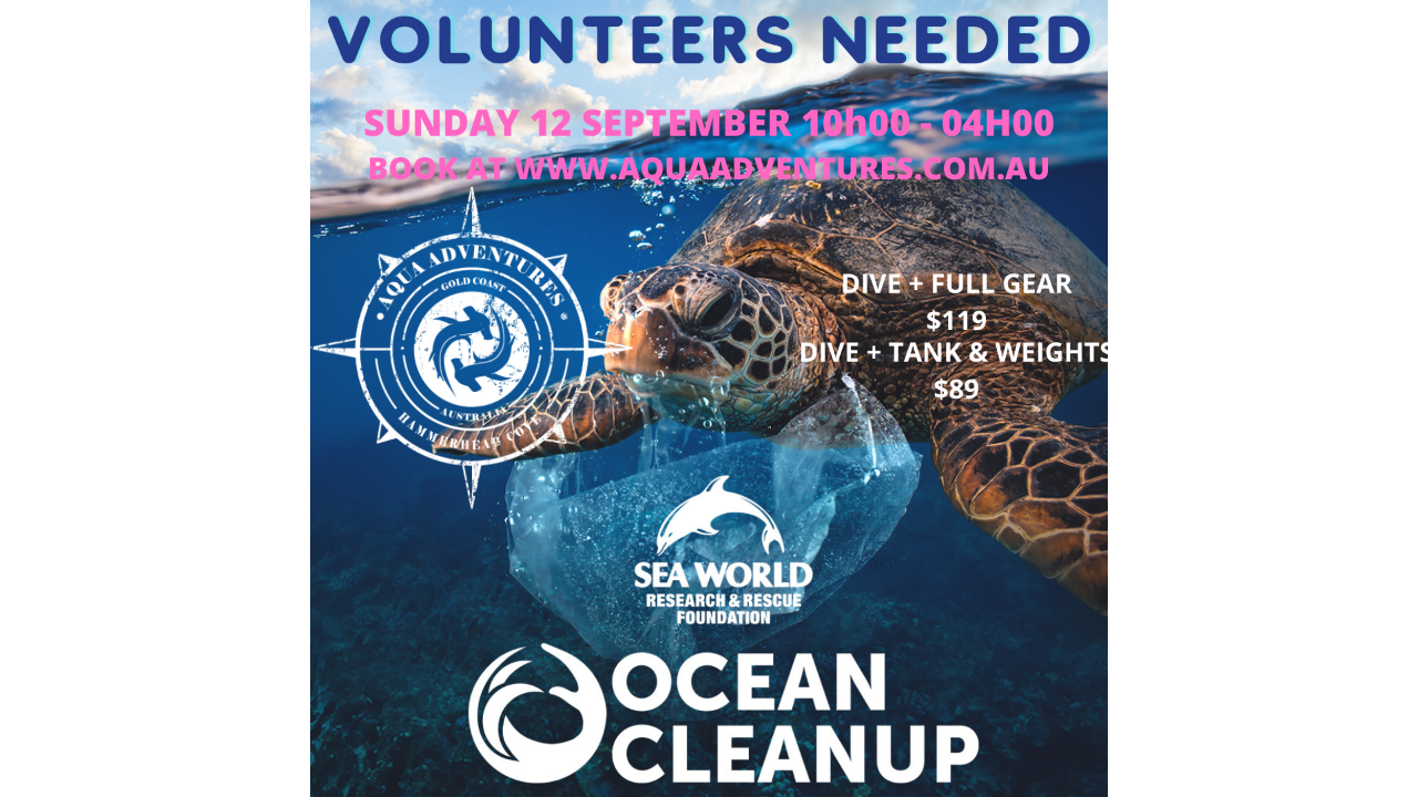 Sea World Clean-Up Dive