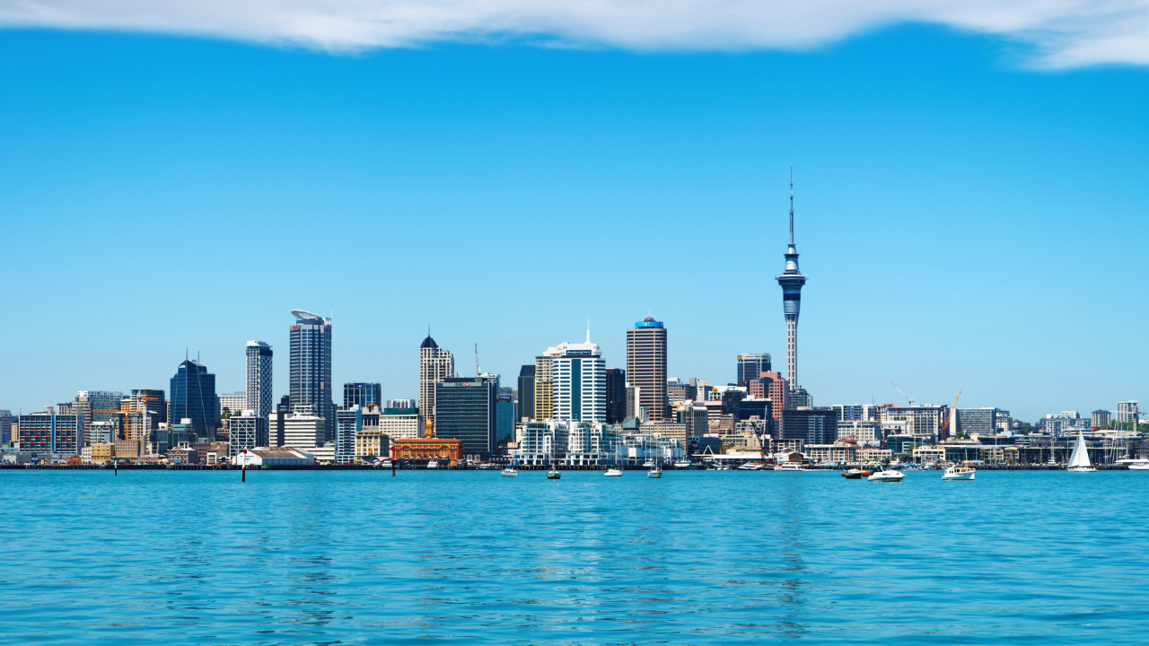  Auckland City Volcano Tour