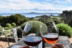 Wine Connoisseurs Tour