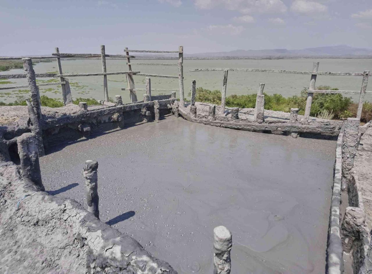 Shared Cartagena Mud Volcano + Mangrove Tour including lunch