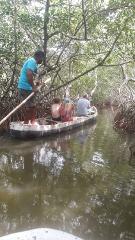 A man propels a narrow boat with three passengers through a mangrove swamp.