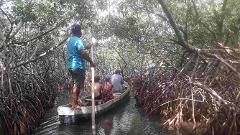 A family is being paddled through a dense mangrove forest on a small boat.