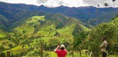 Wax Palms, Salento and Coffee Private Full Day Tour Two people stand amidst lush green hills dotted with tall palm trees; one is looking through binoculars, while the other observes the stunning landscape.