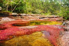 3 Days Caño Cristales, 5 Colored River