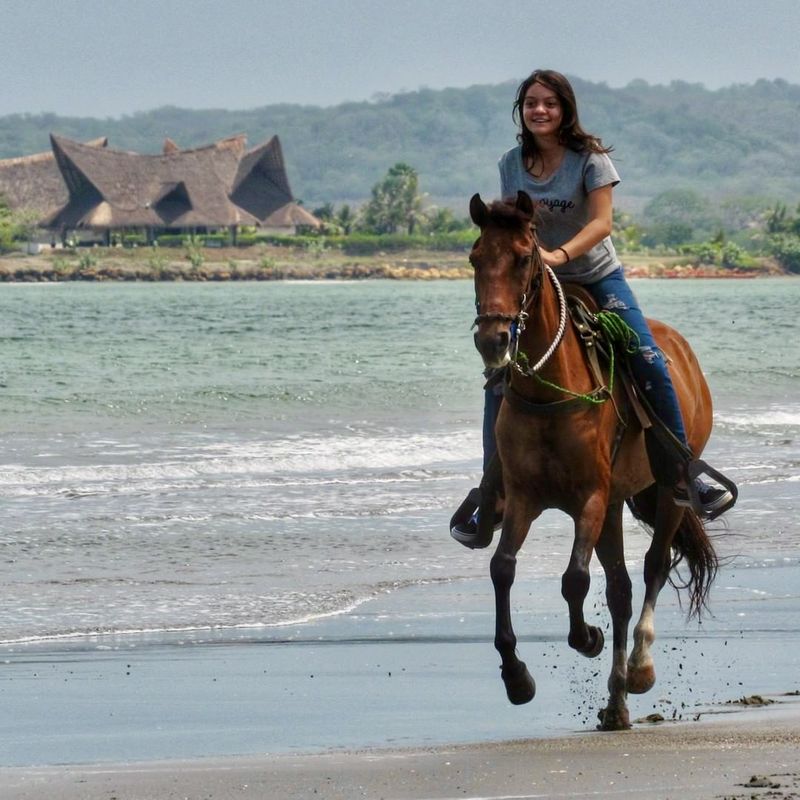 Horse Ride on the Beach