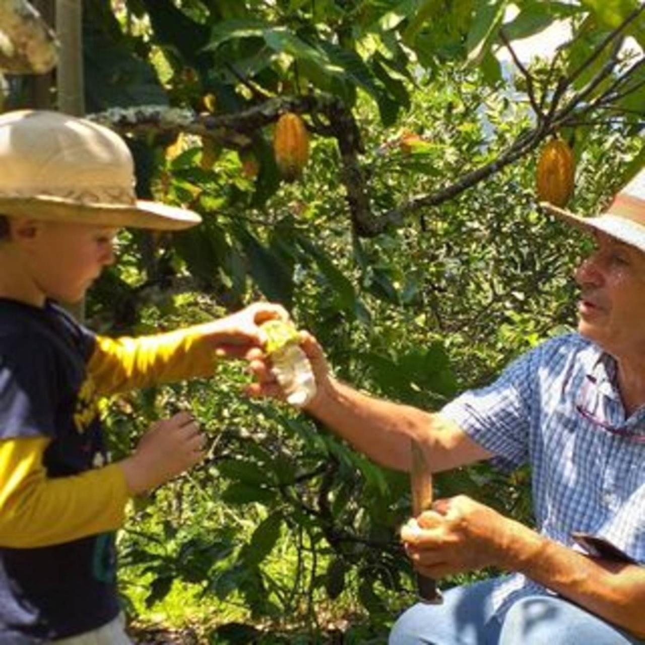 Salento to Marsella + Cacao tour