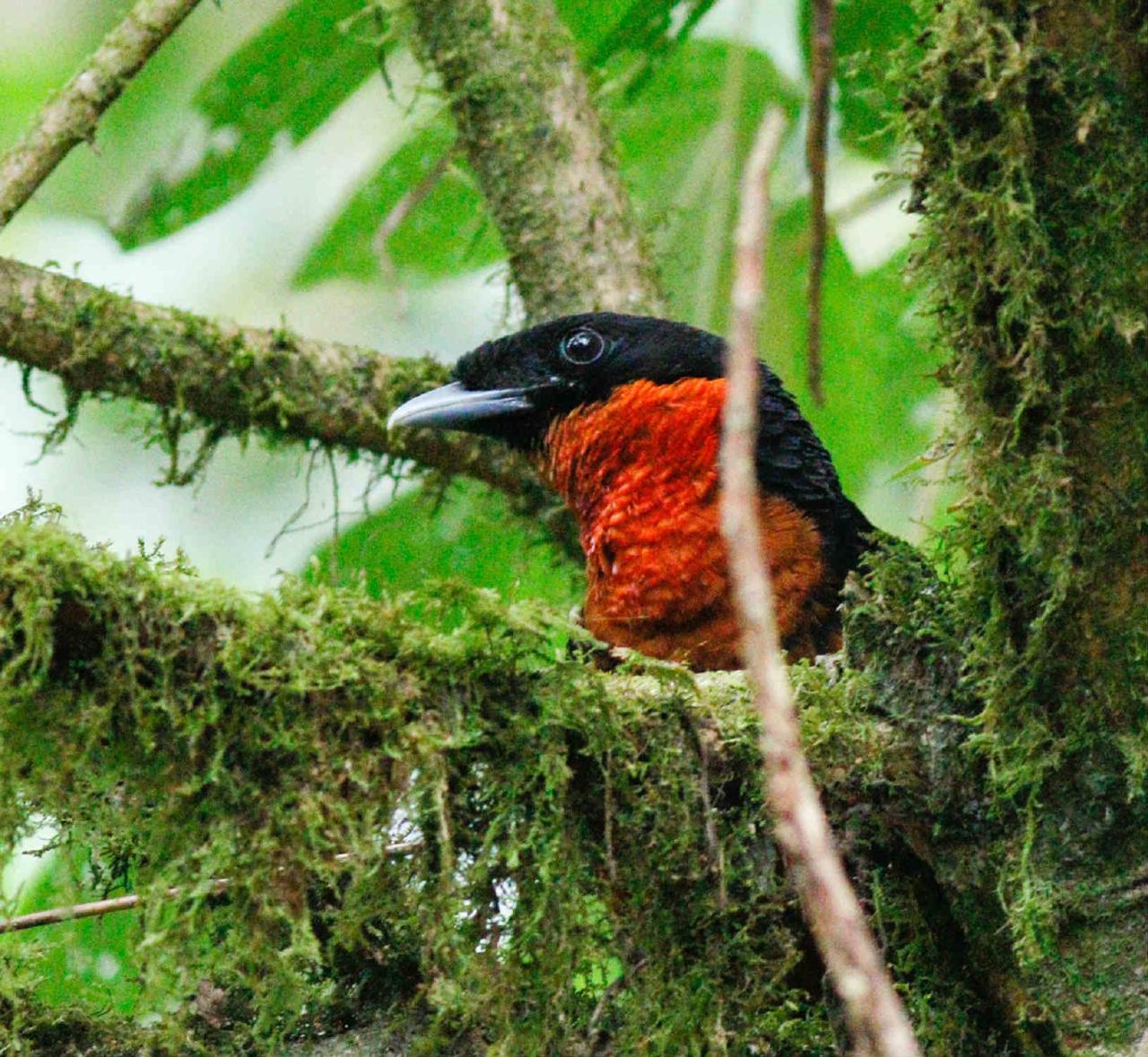 Hiking the Cascada Los Frailes from Pereira