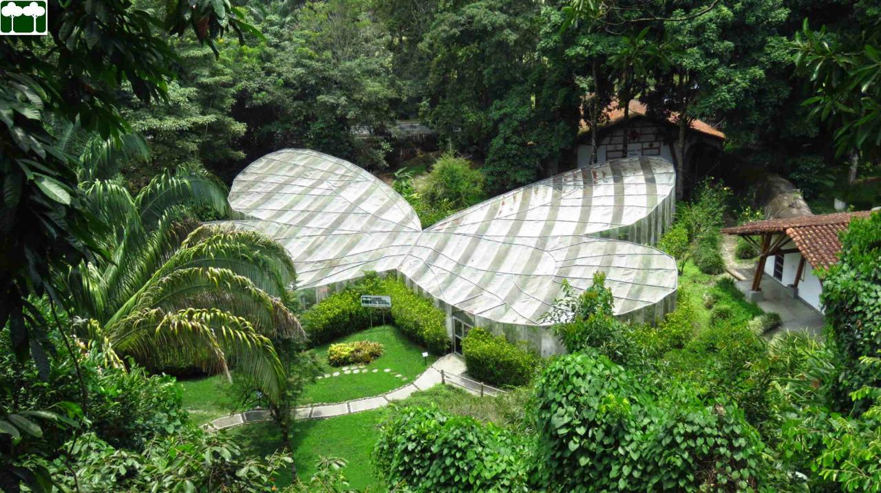 Salento to Jardin Botanico del Quindio + Recuca Private Day Tour
