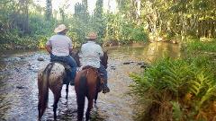 VITERBO: 3 hour Horseback ride through a River with English Guide