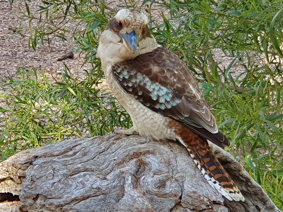 4-Day Lake Eyre & Flinders Ranges Small Group 4WD Eco Safari