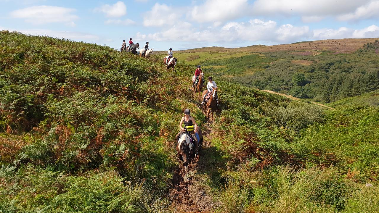 2022 - Kintyre - WEEKEND - Trail Riding