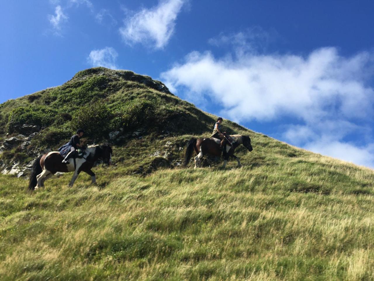 2024 - WILDERNESS JOURNEY - Short Break - MULL OF KINTYRE