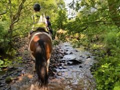 Christmas Gift - Half Day Ride - £120