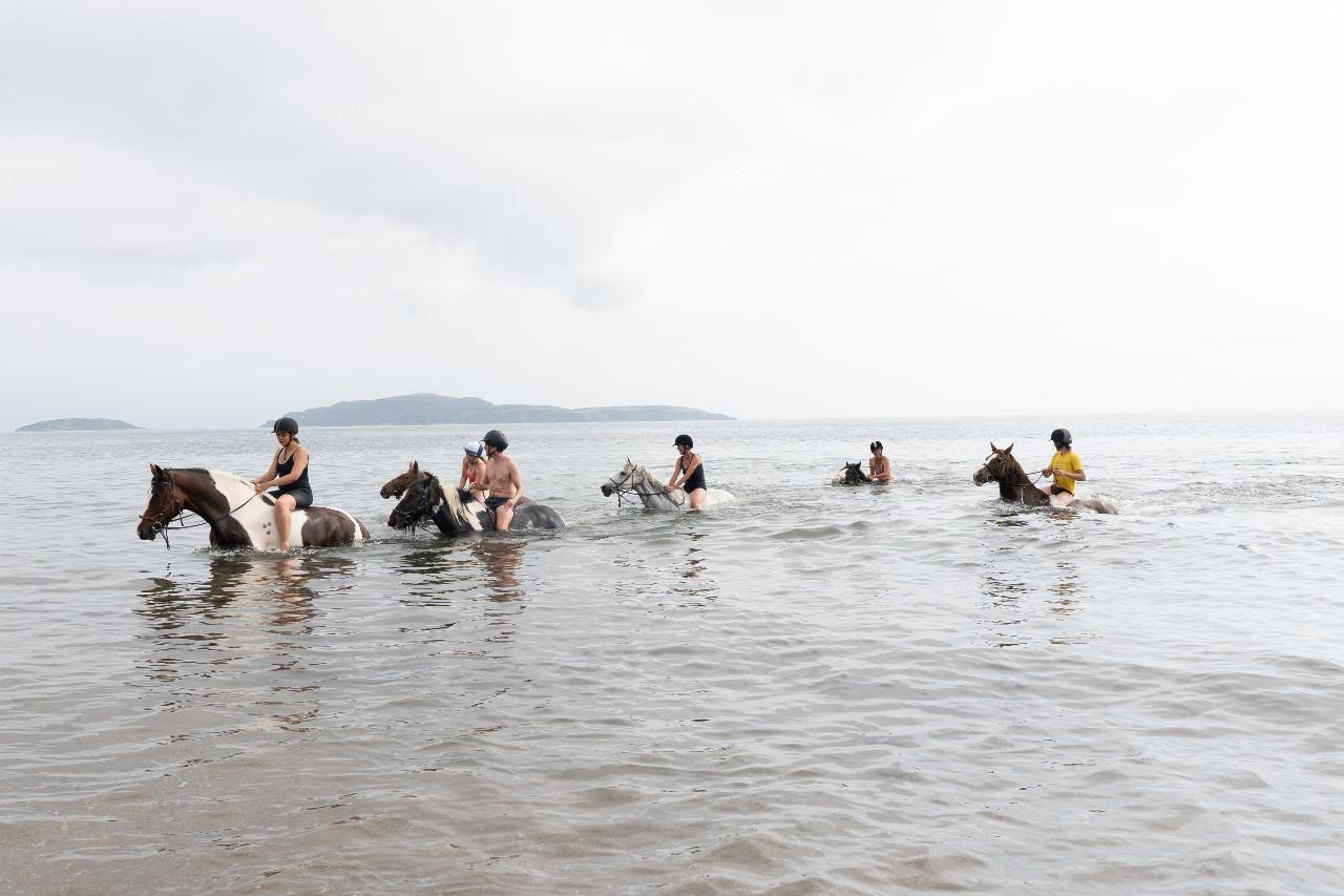 2025 - WILDERNESS JOURNEY - short break - MULL OF KINTYRE