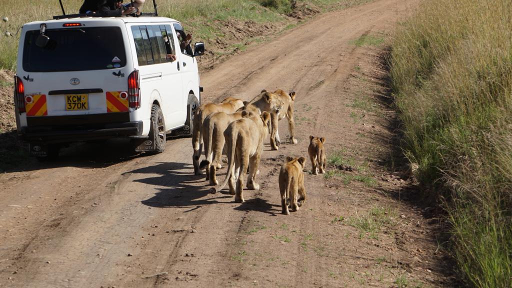 4 Days 3 Nights Group Joining Safari To Maasai Mara Only