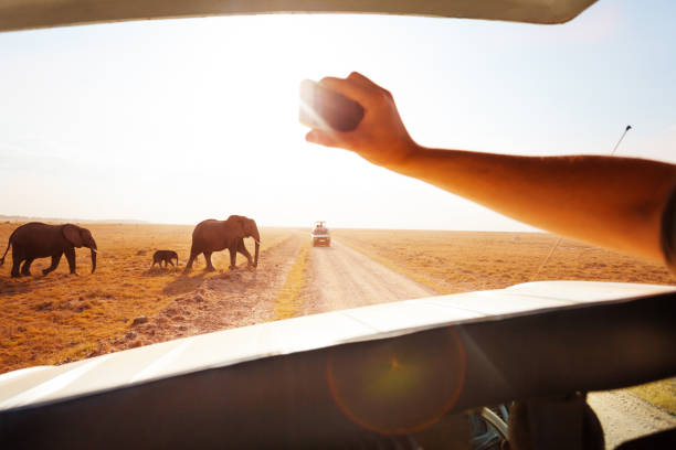 6 Days, 5 Nights Budget Safari To Masai Mara, Lake Nakuru And Amboseli